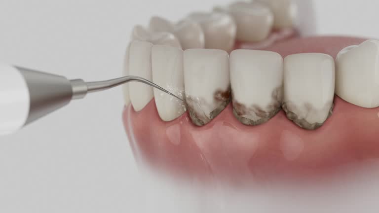 Reliable Dental contractor in Port Sulphur, LA by Dentist Open Now